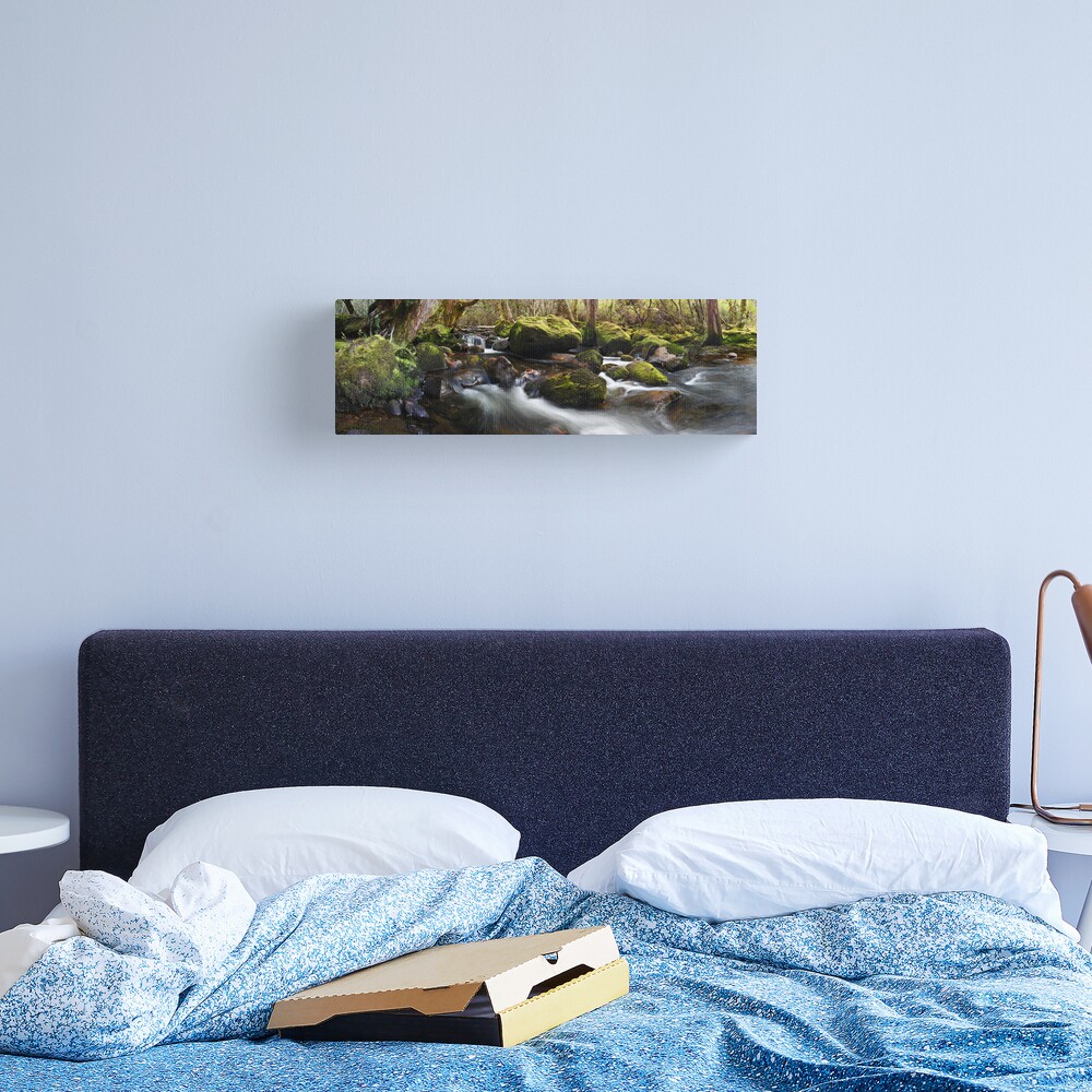 Pine Valley Stream, Lake St Clair National Park, Tasmania Canvas Print