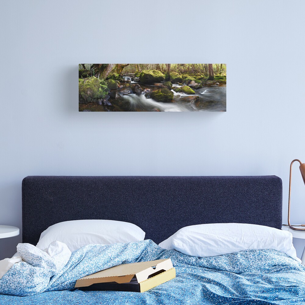 Pine Valley Stream, Lake St Clair National Park, Tasmania Canvas Print