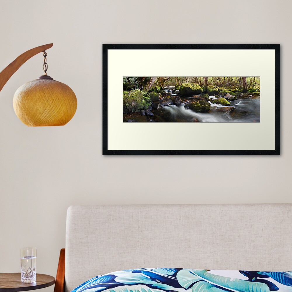 Pine Valley Stream, Lake St Clair National Park, Tasmania Framed Art Print