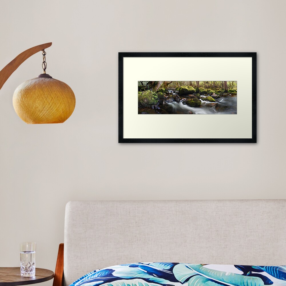 Pine Valley Stream, Lake St Clair National Park, Tasmania Framed Art Print