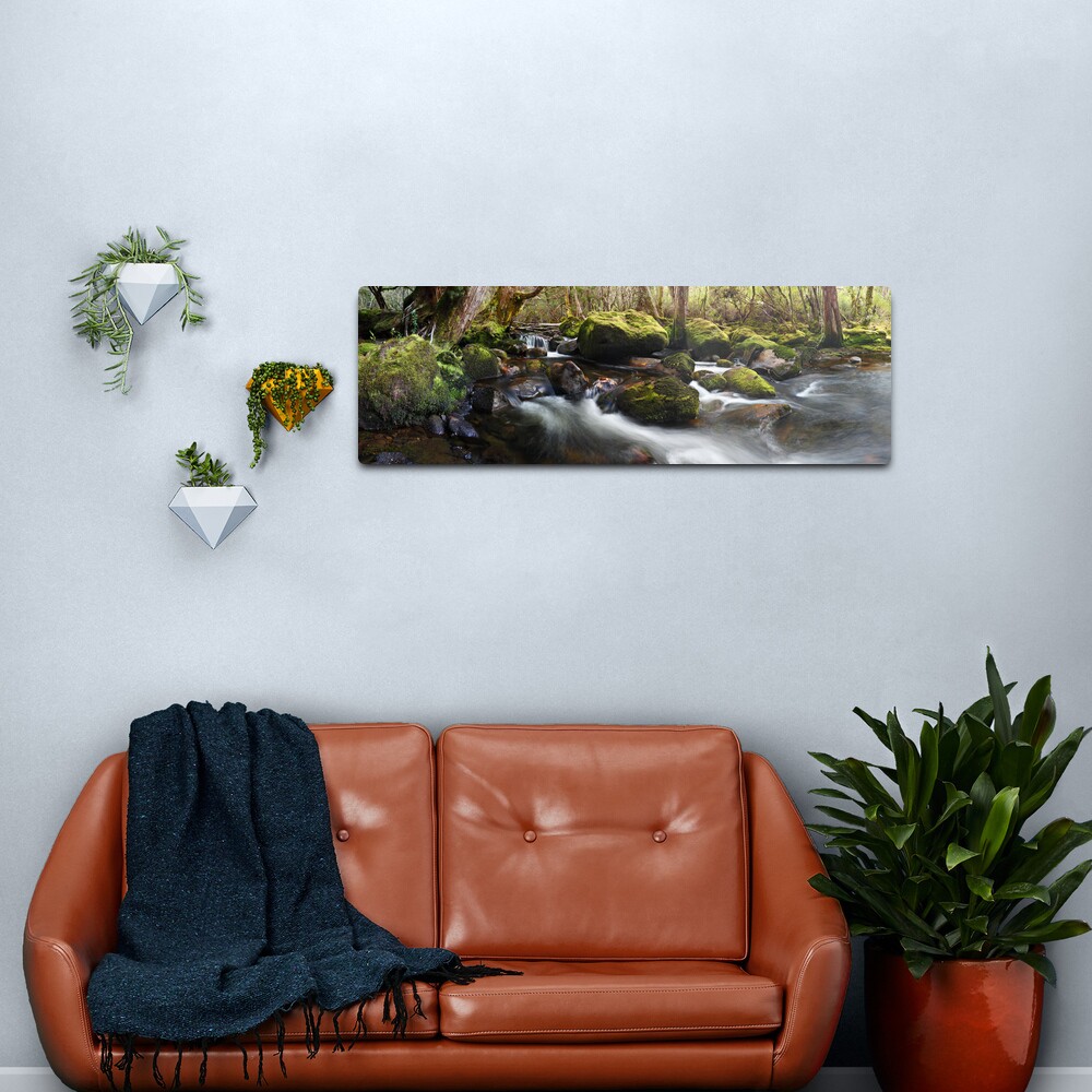 Pine Valley Stream, Lake St Clair National Park, Tasmania Metal Print