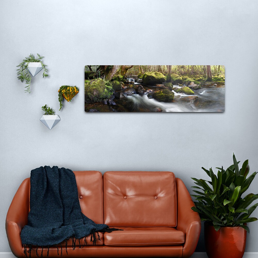 Pine Valley Stream, Lake St Clair National Park, Tasmania Metal Print
