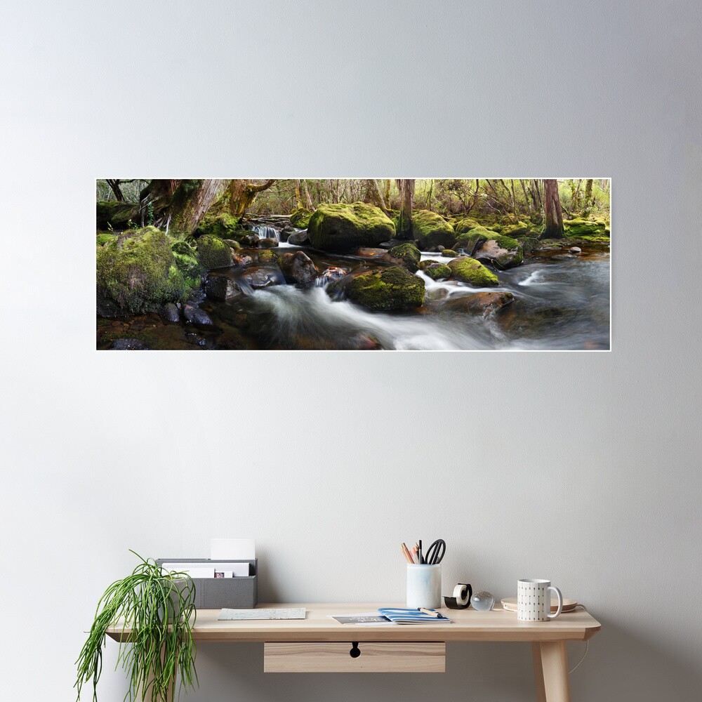 Pine Valley Stream, Lake St Clair National Park, Tasmania Poster