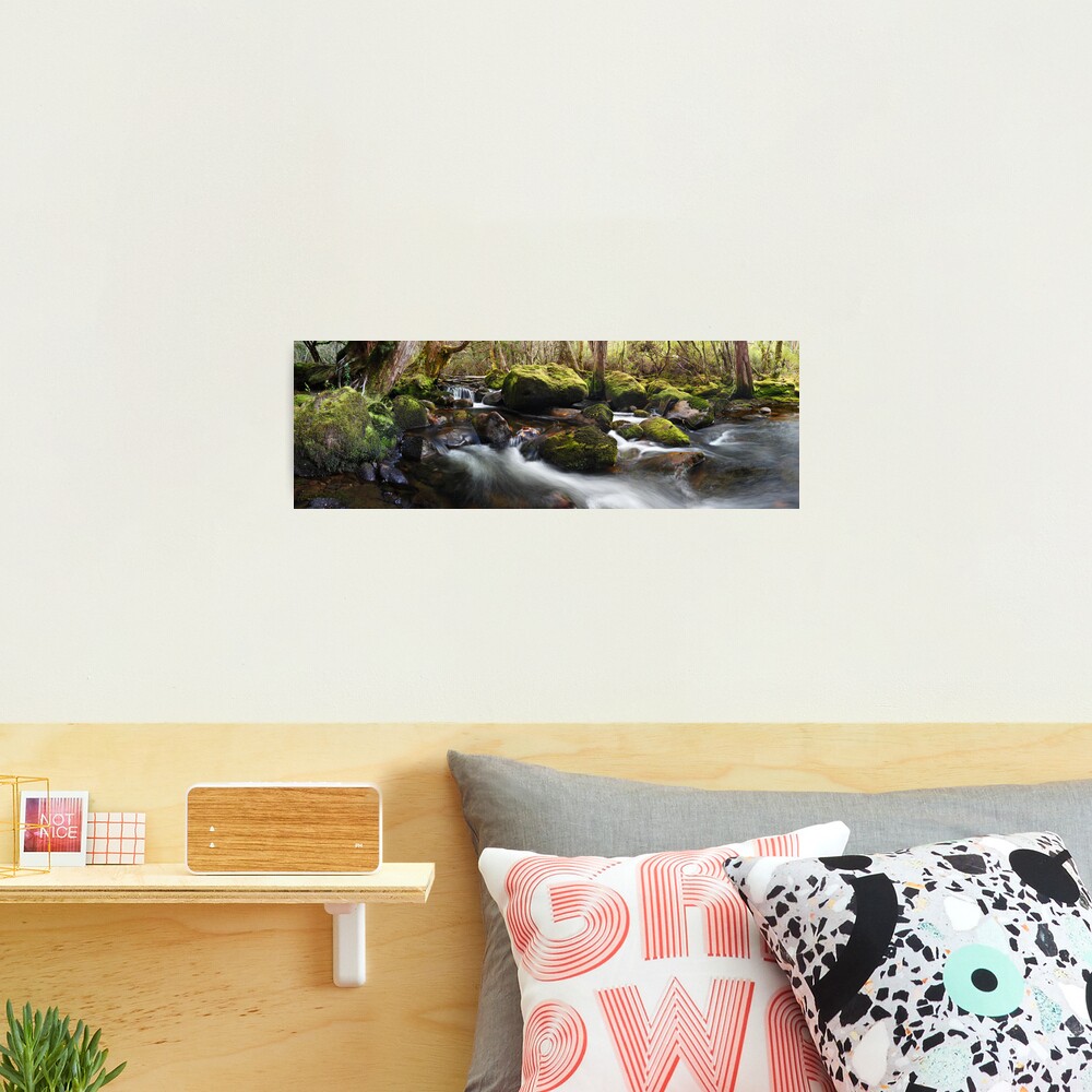 Pine Valley Stream, Lake St Clair National Park, Tasmania Photographic Print