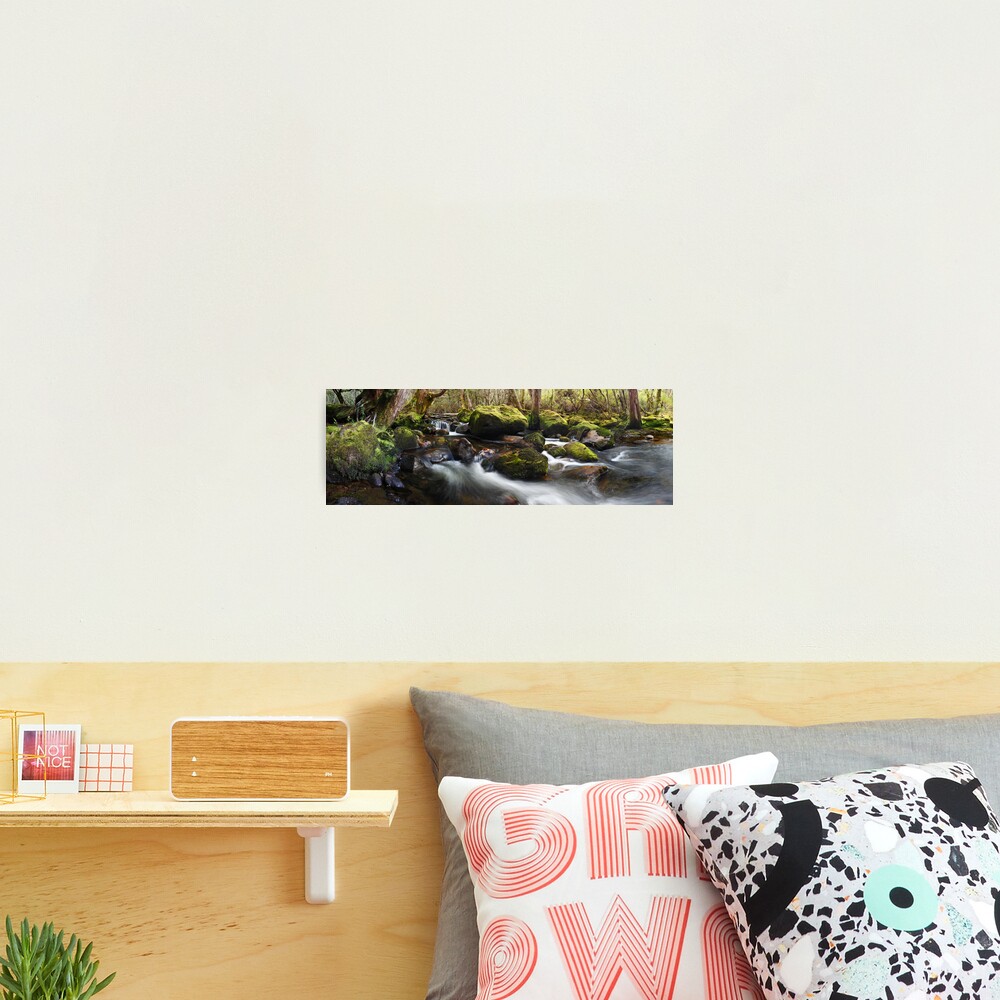 Pine Valley Stream, Lake St Clair National Park, Tasmania Photographic Print