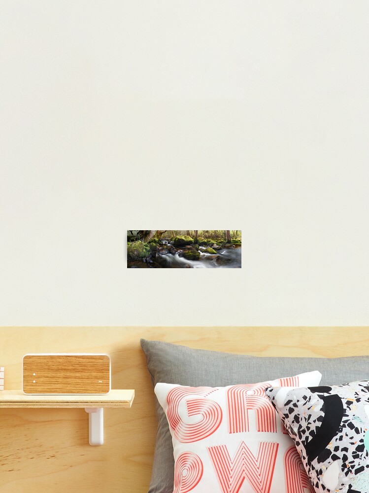 Thumbnail 1 of 3, Photographic Print, Pine Valley Stream, Lake St Clair National Park, Tasmania designed and sold by Chockstone.