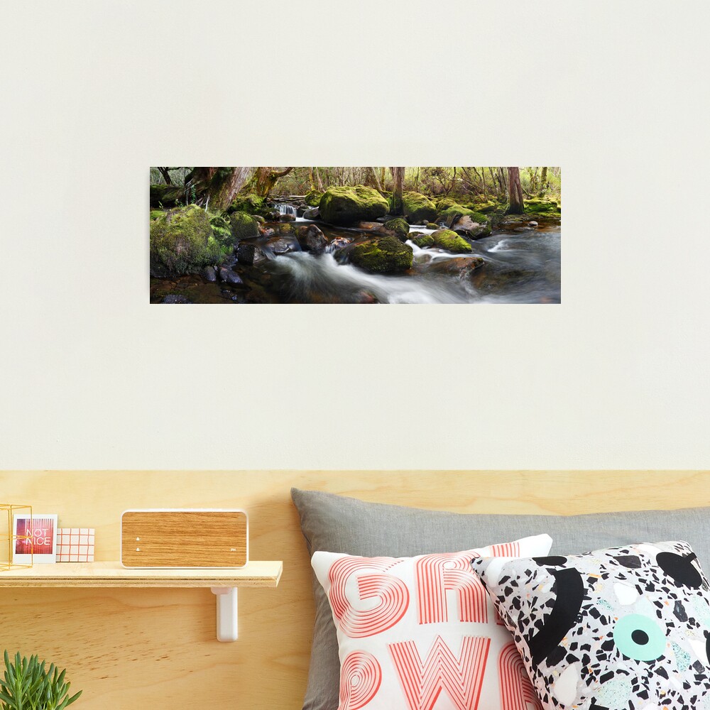 Pine Valley Stream, Lake St Clair National Park, Tasmania Photographic Print