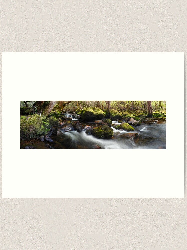 Alternate view of Pine Valley Stream, Lake St Clair National Park, Tasmania Art Print