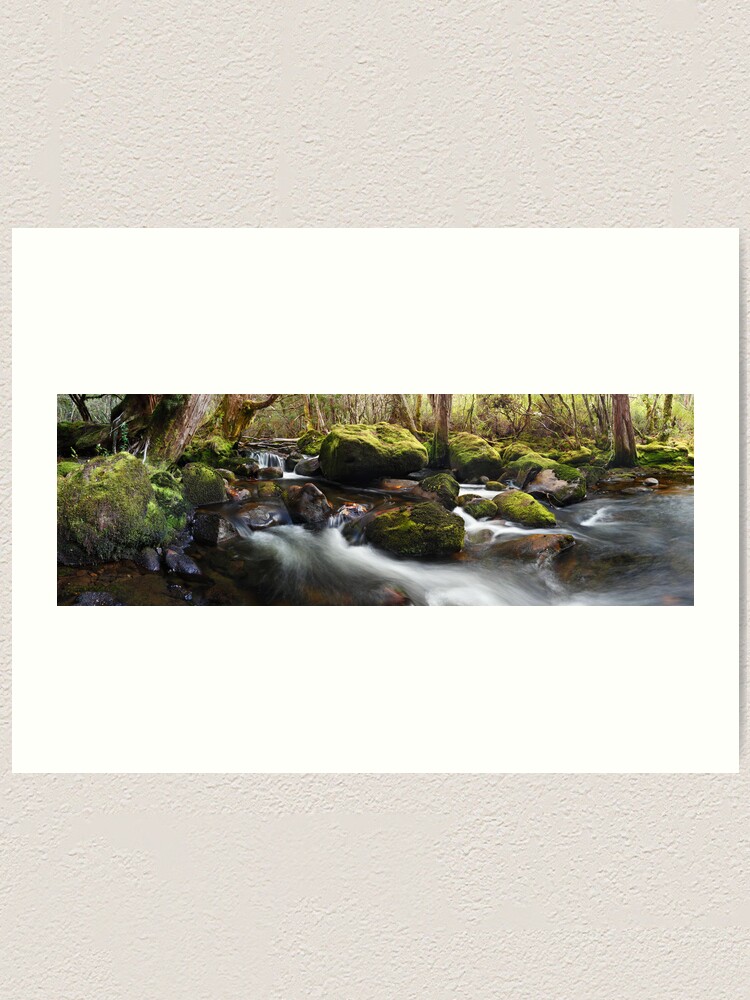 Alternate view of Pine Valley Stream, Lake St Clair National Park, Tasmania Art Print