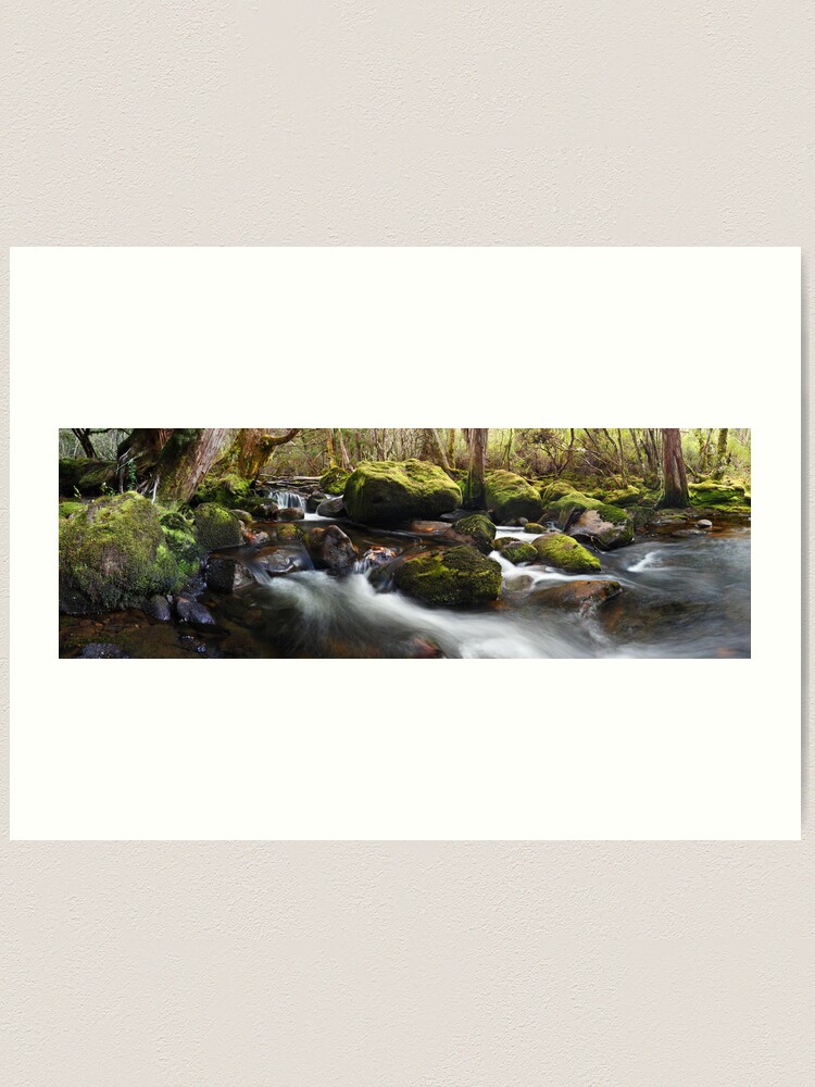 Alternate view of Pine Valley Stream, Lake St Clair National Park, Tasmania Art Print