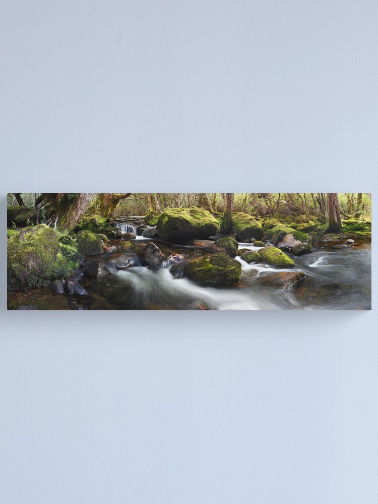 Alternate view of Pine Valley Stream, Lake St Clair National Park, Tasmania Canvas Print