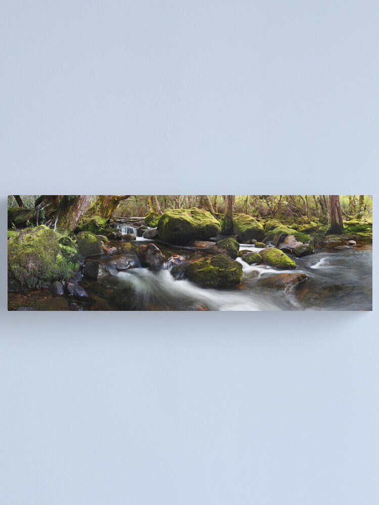 Alternate view of Pine Valley Stream, Lake St Clair National Park, Tasmania Canvas Print