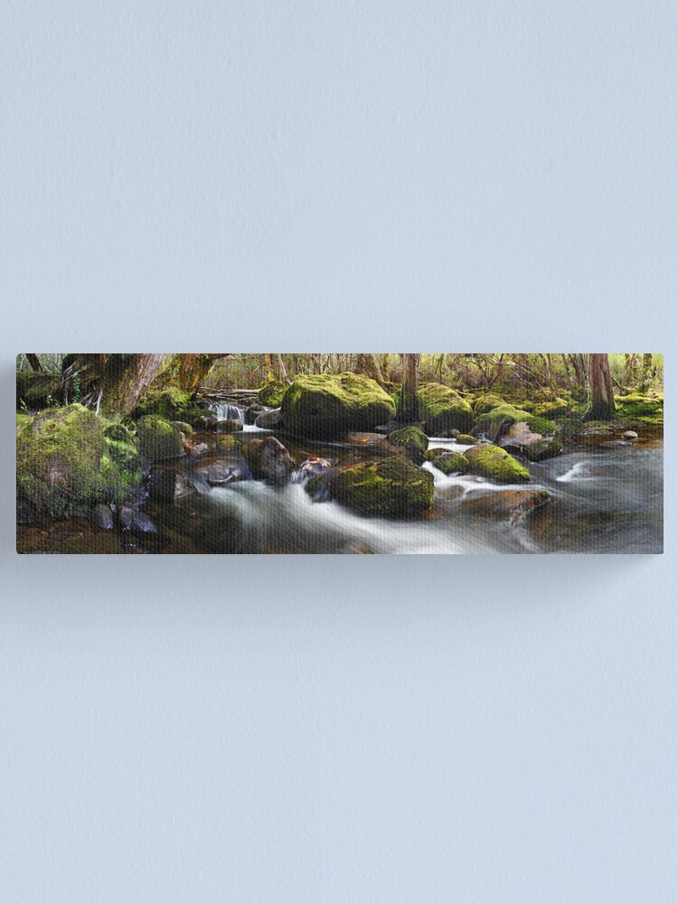 Alternate view of Pine Valley Stream, Lake St Clair National Park, Tasmania Canvas Print