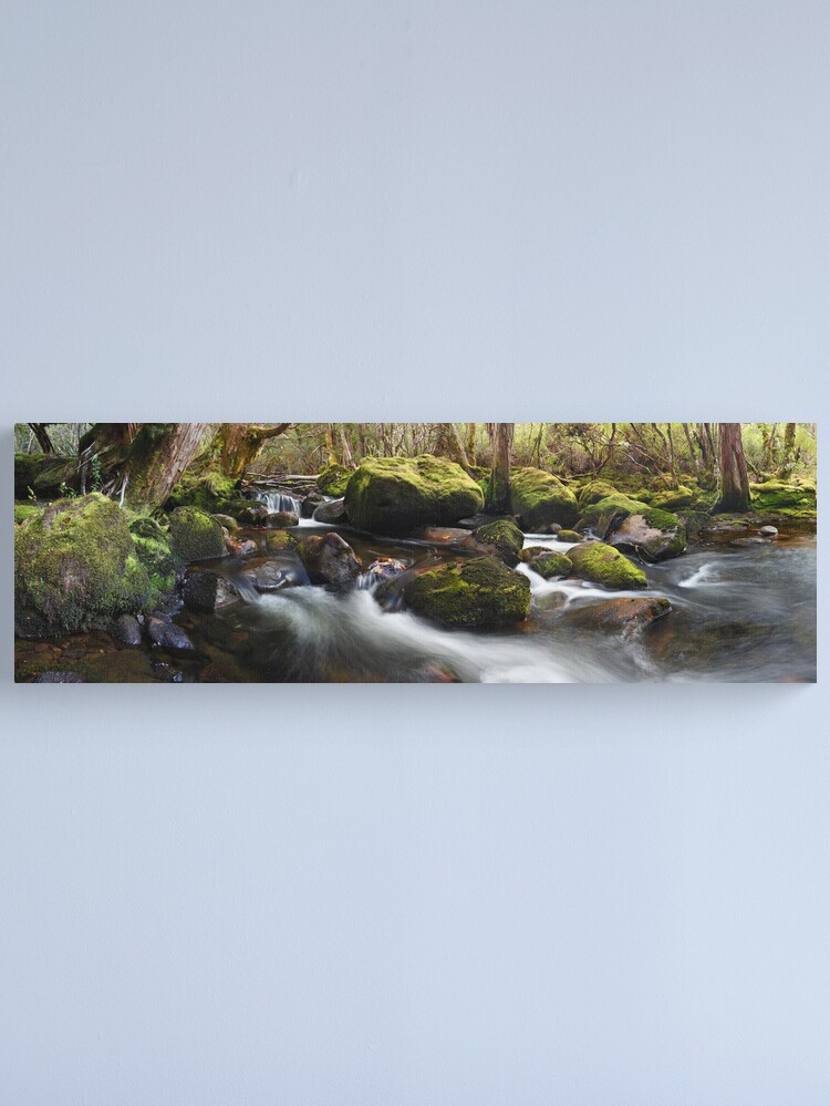 Alternate view of Pine Valley Stream, Lake St Clair National Park, Tasmania Canvas Print