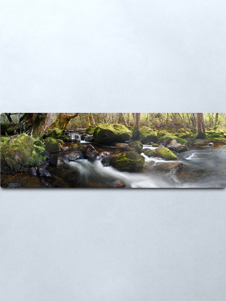 Alternate view of Pine Valley Stream, Lake St Clair National Park, Tasmania Metal Print
