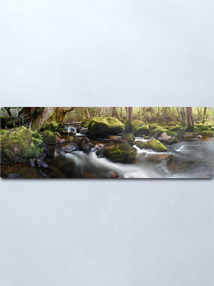 Alternate view of Pine Valley Stream, Lake St Clair National Park, Tasmania Metal Print