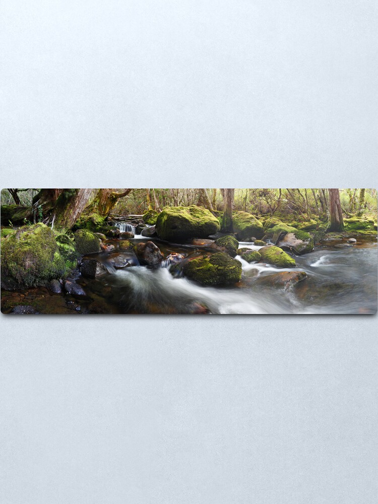Alternate view of Pine Valley Stream, Lake St Clair National Park, Tasmania Metal Print
