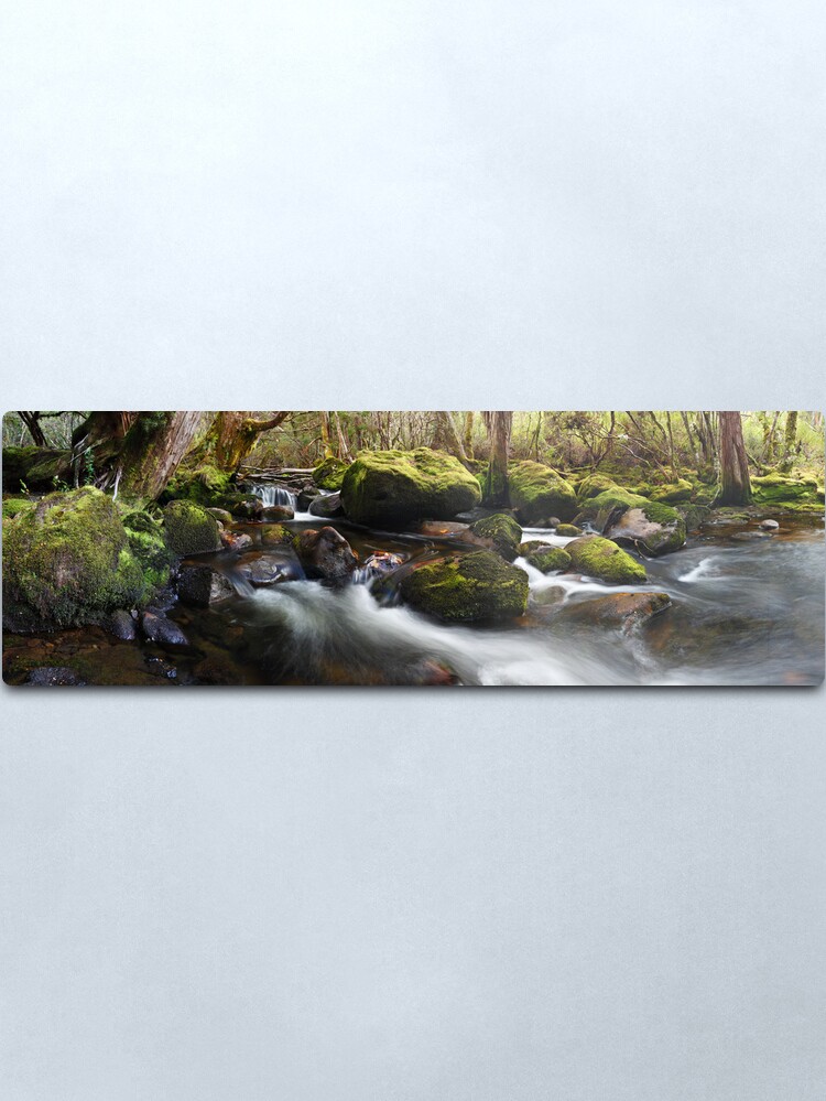 Alternate view of Pine Valley Stream, Lake St Clair National Park, Tasmania Metal Print