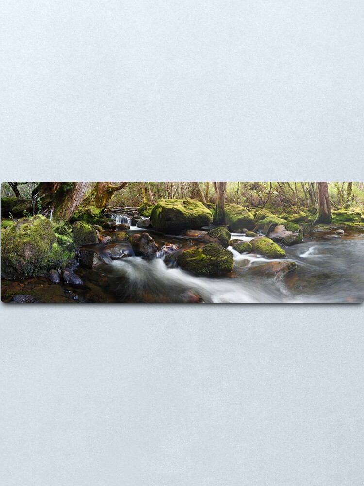 Alternate view of Pine Valley Stream, Lake St Clair National Park, Tasmania Metal Print