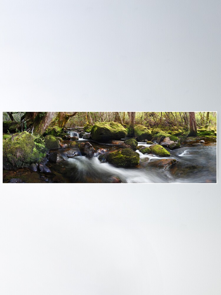 Alternate view of Pine Valley Stream, Lake St Clair National Park, Tasmania Poster