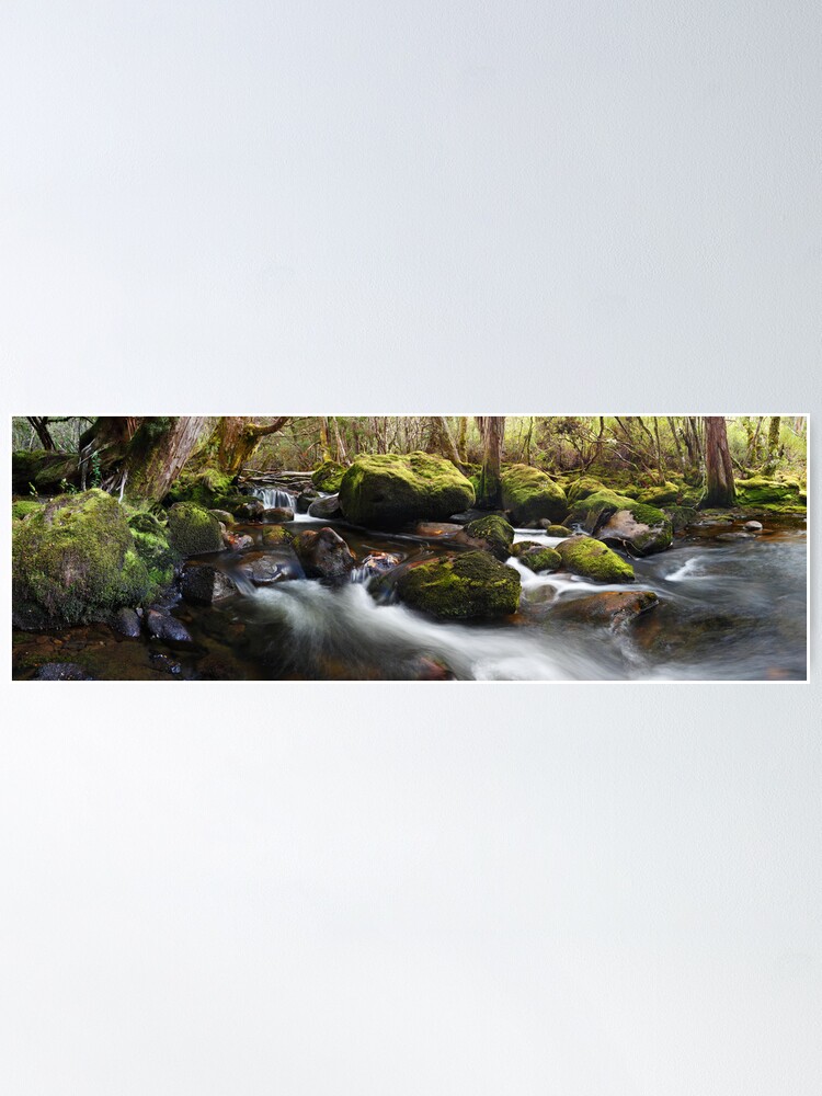 Alternate view of Pine Valley Stream, Lake St Clair National Park, Tasmania Poster