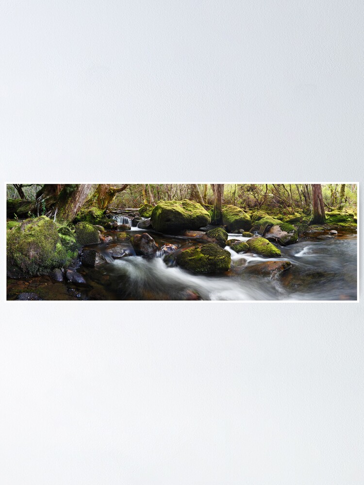 Thumbnail 1 of 3, Poster, Pine Valley Stream, Lake St Clair National Park, Tasmania designed and sold by Chockstone.