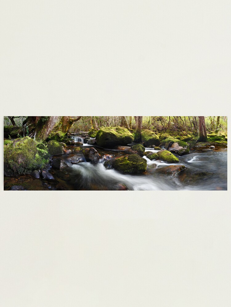Alternate view of Pine Valley Stream, Lake St Clair National Park, Tasmania Photographic Print