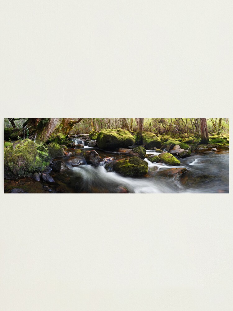 Thumbnail 2 of 3, Photographic Print, Pine Valley Stream, Lake St Clair National Park, Tasmania designed and sold by Chockstone.
