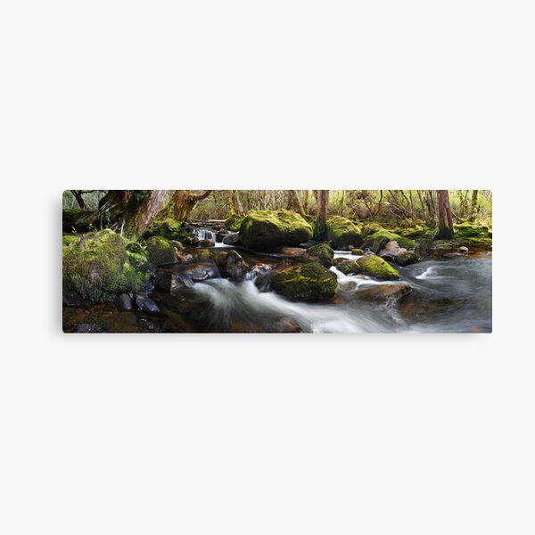 Pine Valley Stream, Lake St Clair National Park, Tasmania Canvas Print