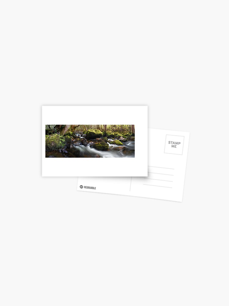Thumbnail 1 of 2, Postcard, Pine Valley Stream, Lake St Clair National Park, Tasmania designed and sold by Chockstone.