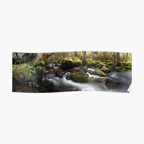 Pine Valley Stream, Lake St Clair National Park, Tasmania Poster