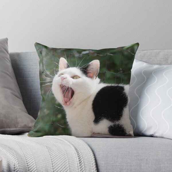 adorable Funny Cat Dekokissen