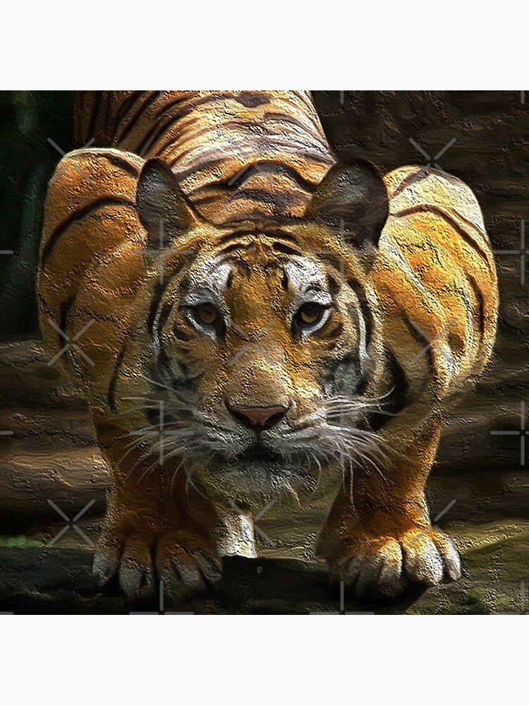 Crouching Tiger