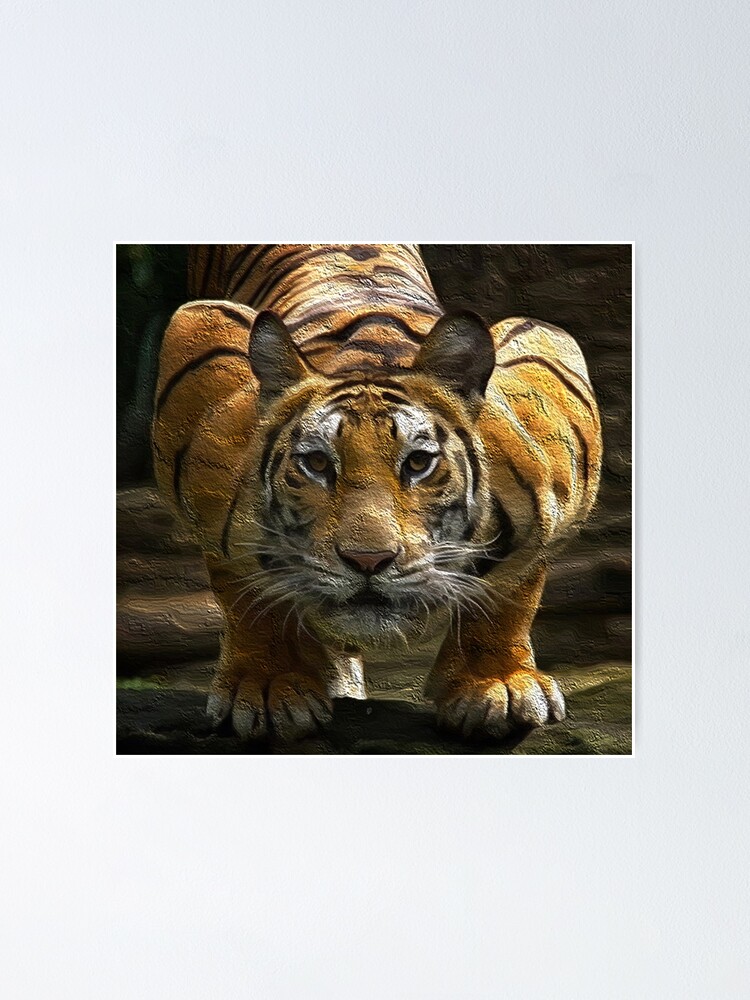 Crouching Tiger