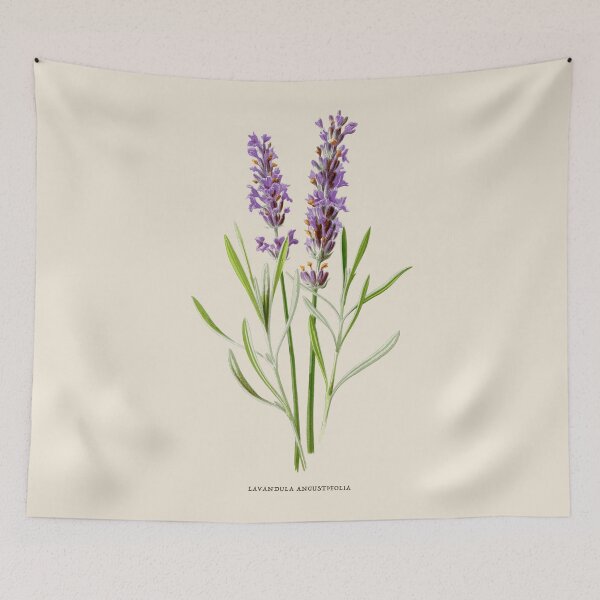 Item preview, Lavender Antique Botanical Illustration designed and sold by Antiquated Art.