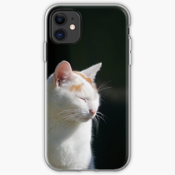 Cat Arno is Happy iPhone Flexible Hülle