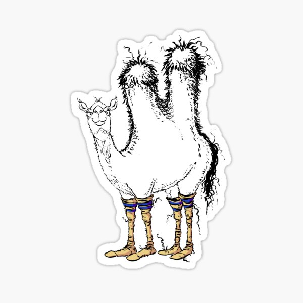 Cute Camel with Silly Old Man Socks Sticker