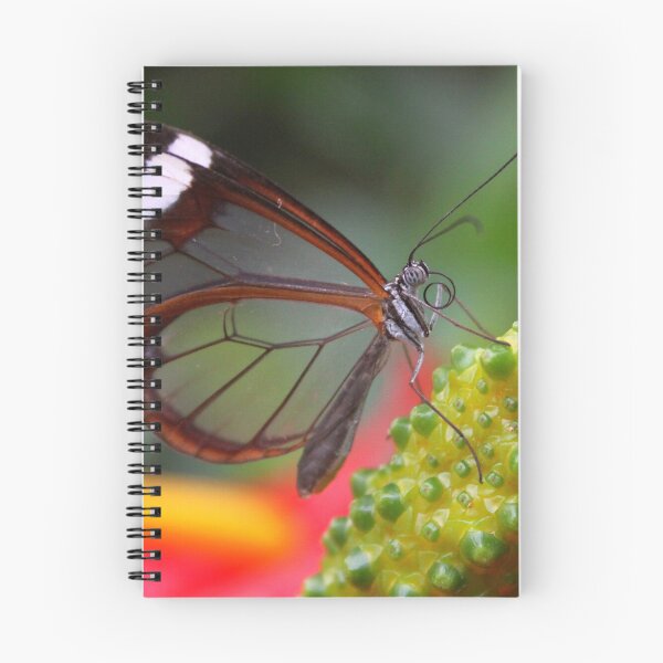 Item preview, Greta Oto on Anthurium Berries designed and sold by Jo Nijenhuis.