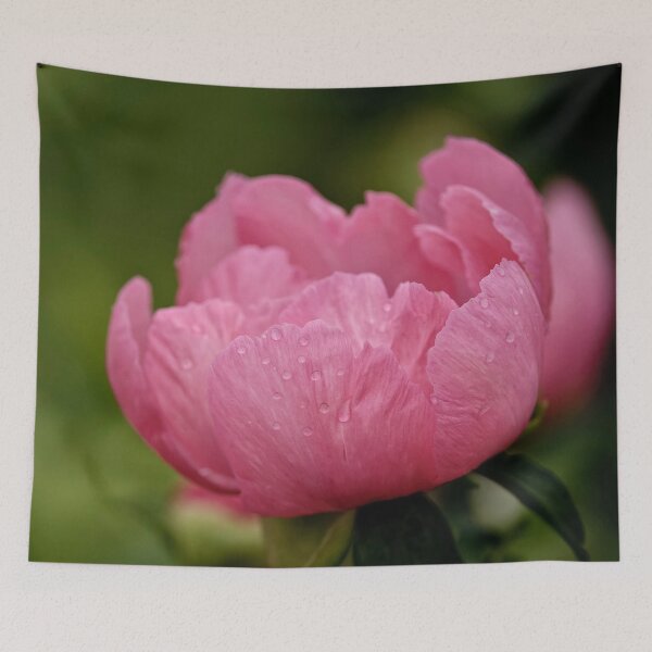 Item preview, Peony designed and sold by Michael Cummings.