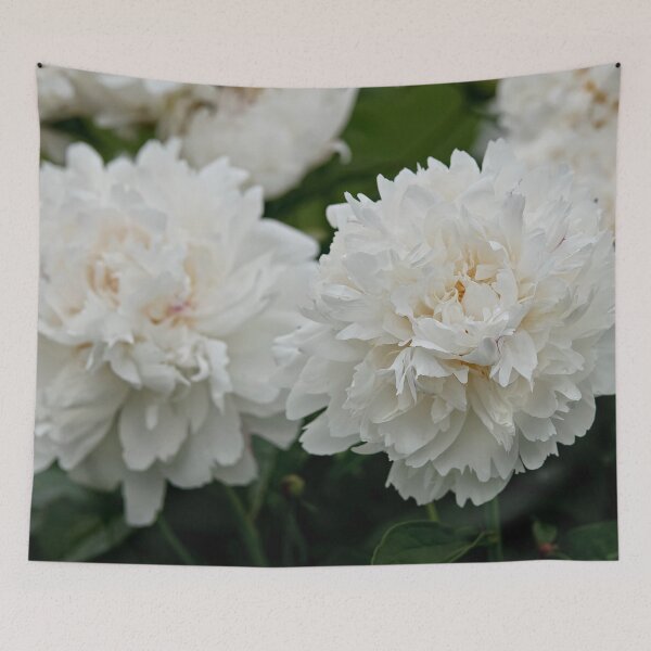 Item preview, Peony designed and sold by Michael Cummings.