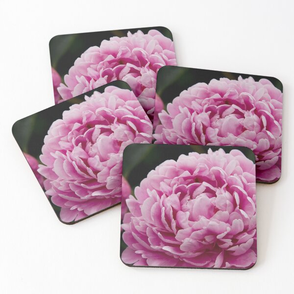 Item preview, Peony designed and sold by Michael Cummings.