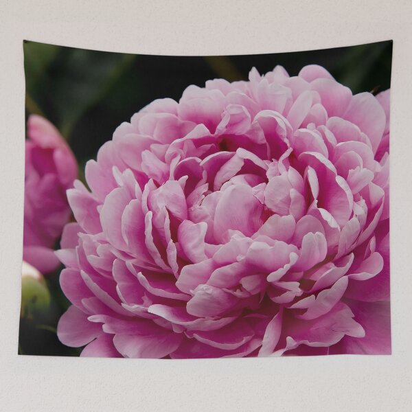 Item preview, Peony designed and sold by Michael Cummings.