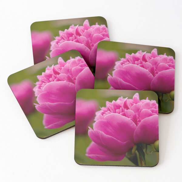 Item preview, Peony designed and sold by Michael Cummings.