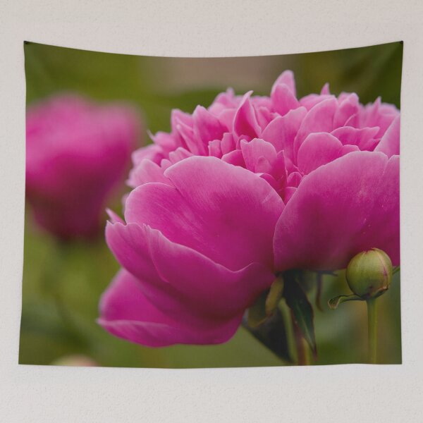 Item preview, Peony designed and sold by Michael Cummings.