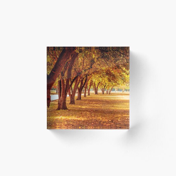 View of trees Acrylic Block