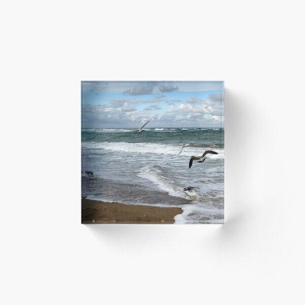 Item preview, A sense of freedom by the beach designed and sold by crystalline.