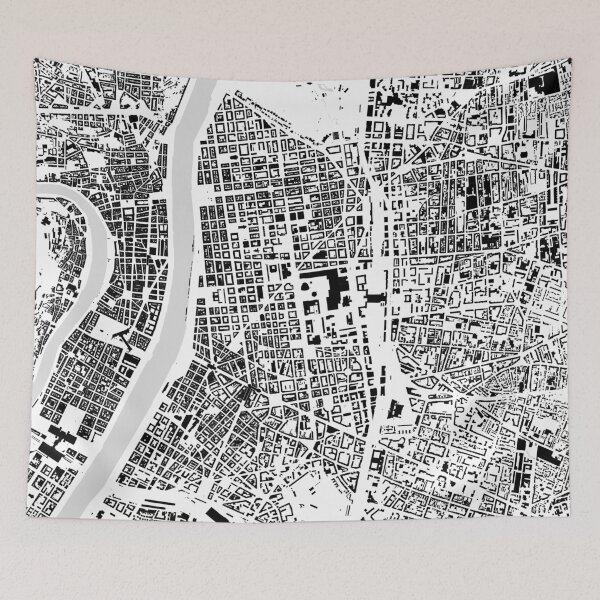 Aperçu de l'œuvre Lyon noir et blanc bâtiment plan de la ville créée et vendue par Intrepix.