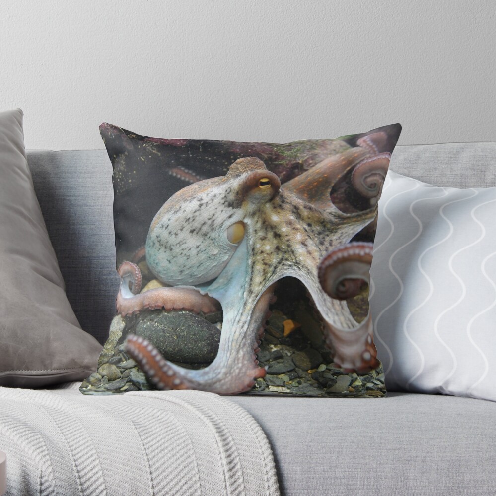 octopus flip pillow