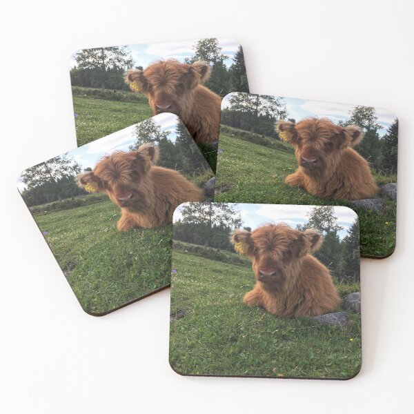 Item preview, Scottish Highland Cattle Calf 1798 designed and sold by SaarelaHighland.