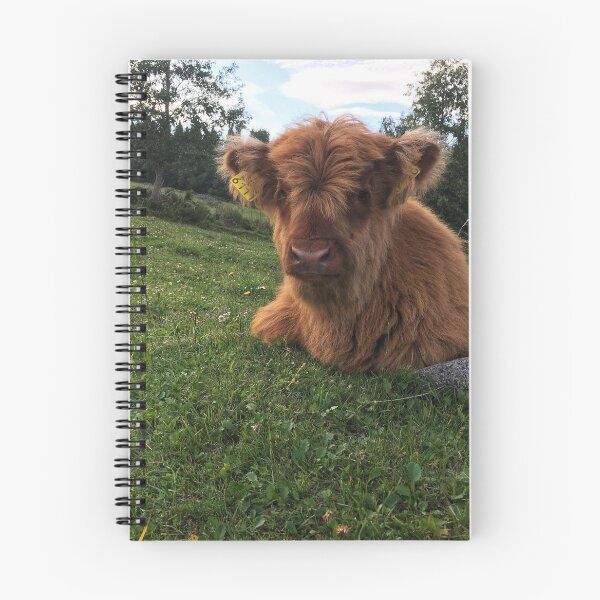 Item preview, Scottish Highland Cattle Calf 1798 designed and sold by SaarelaHighland.